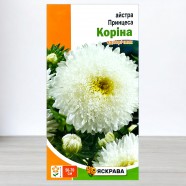 Насіння айстри Принцеса Корiна, 0,3г, ТМ Яскрава
